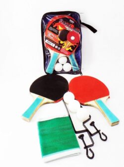 JUEGO DE PING PONG CON RED